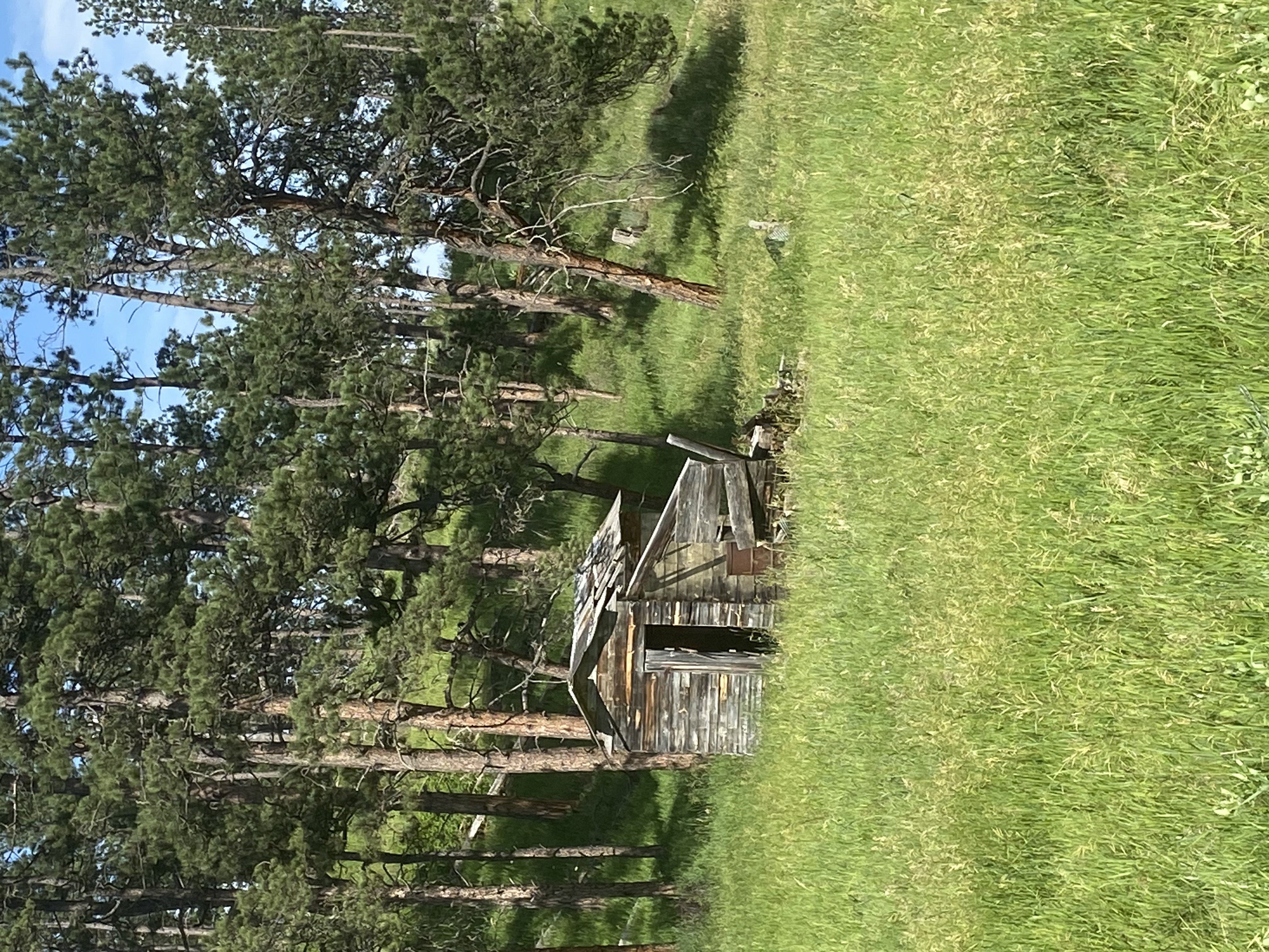 IMG_5877.jpeg