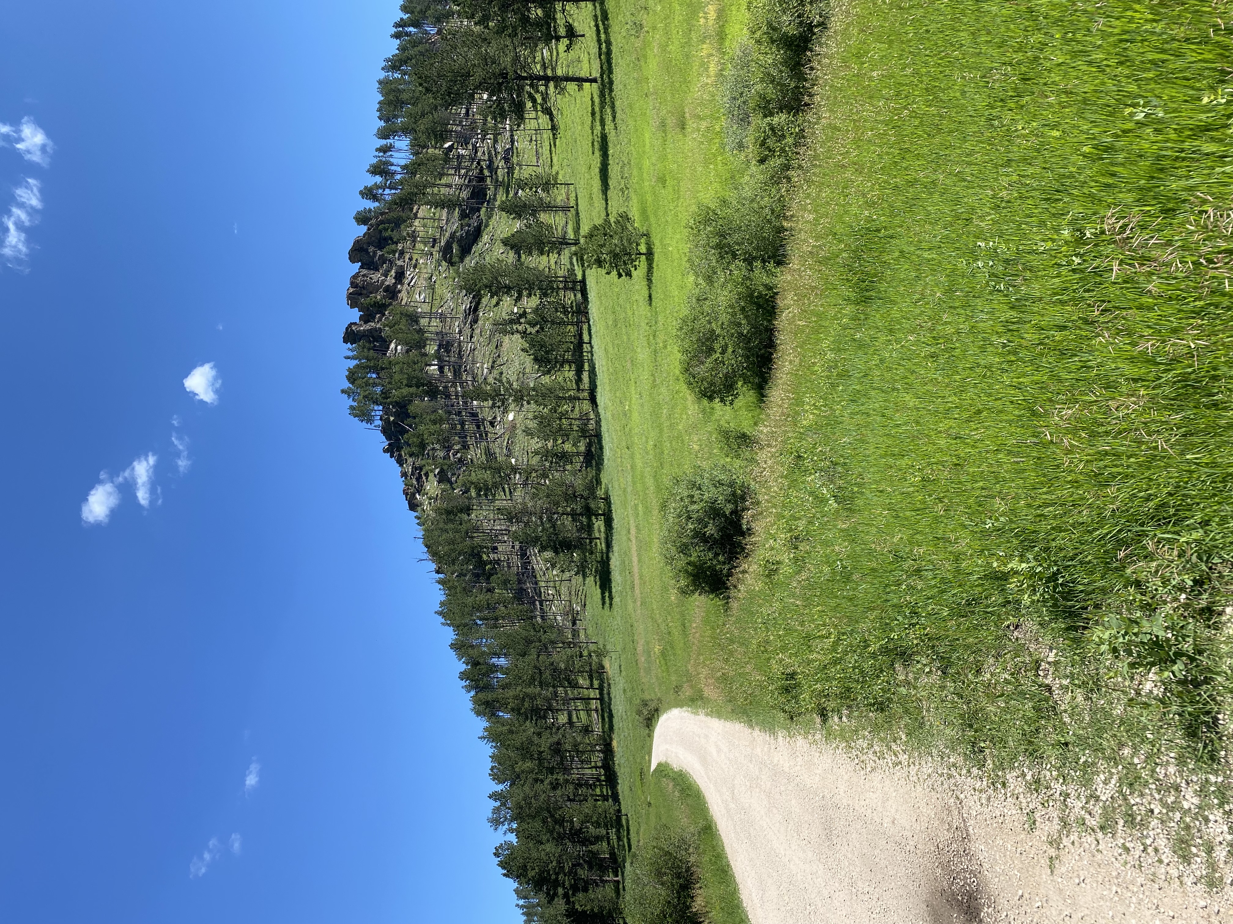 IMG_5963.jpeg