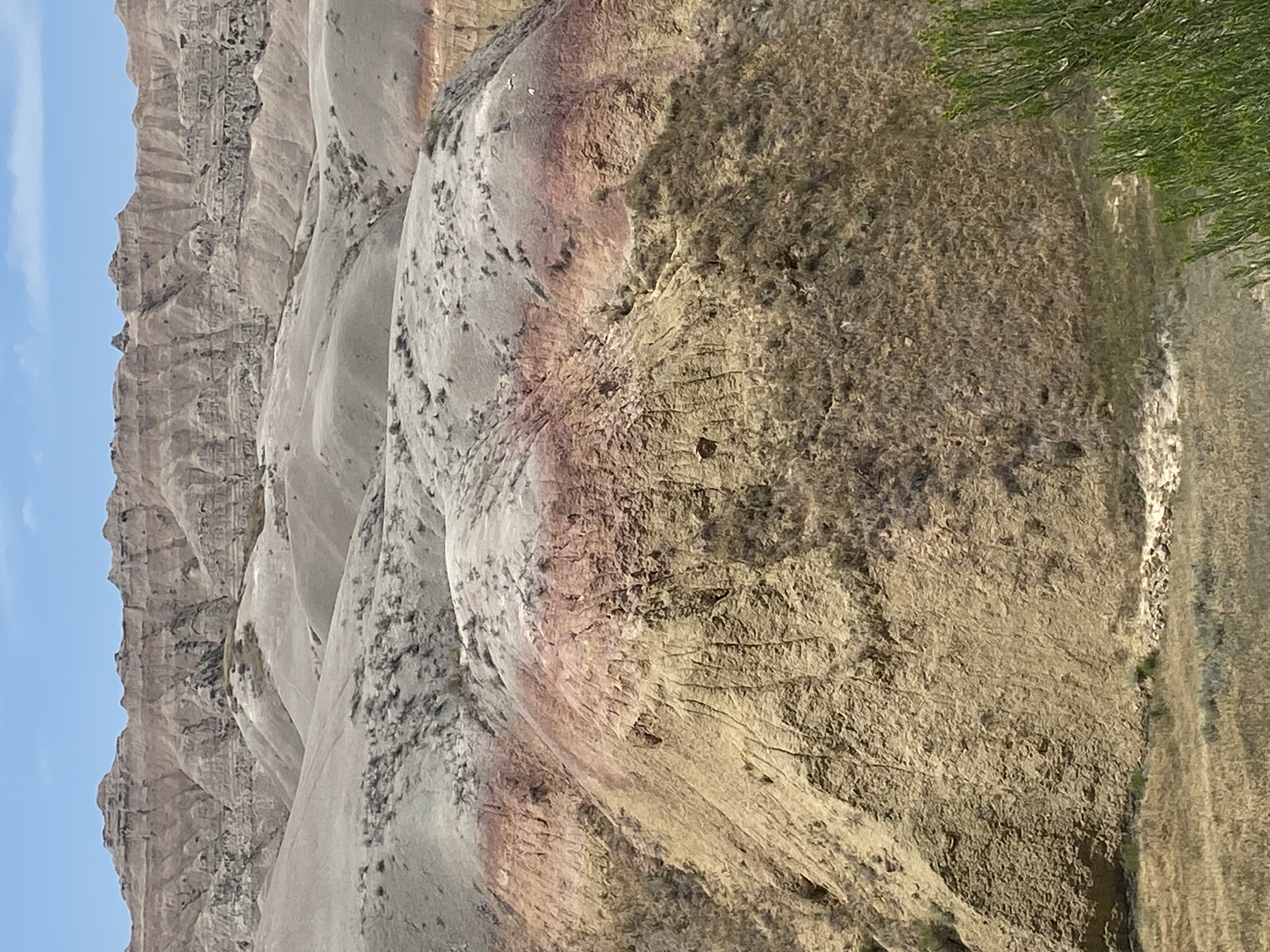 IMG_6005.jpeg
