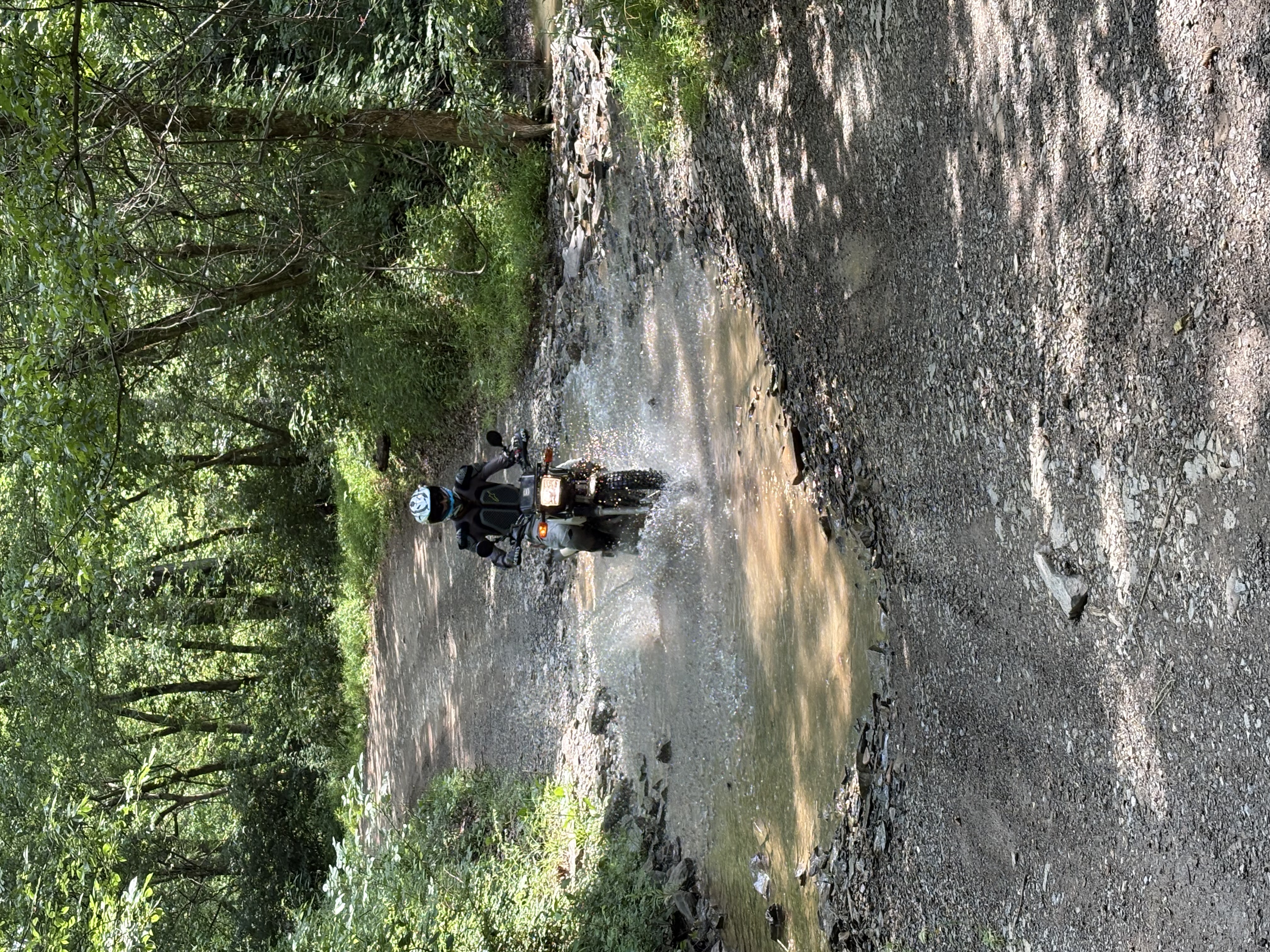 IMG_8730.jpeg
