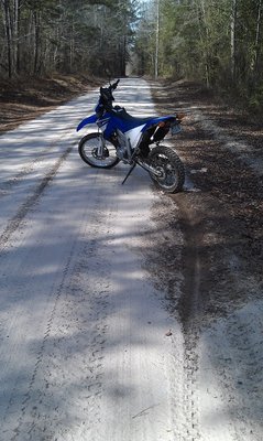 IMAG0460.jpg